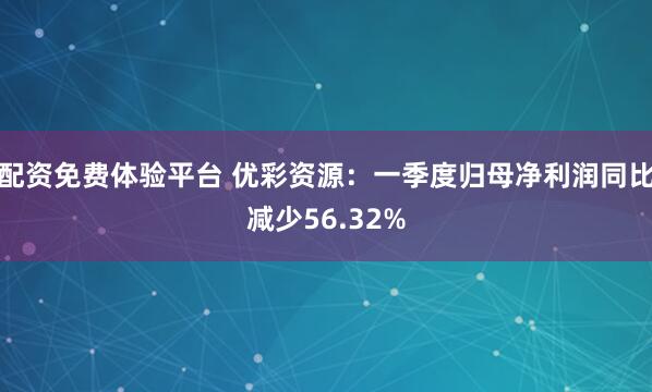 配资免费体验平台 优彩资源：一季度归母净利润同比减少56.32%
