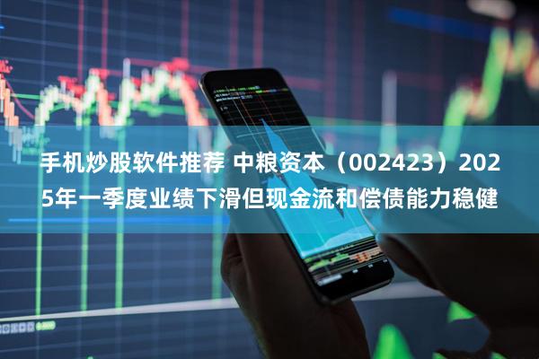 手机炒股软件推荐 中粮资本（002423）2025年一季度业绩下滑但现金流和偿债能力稳健