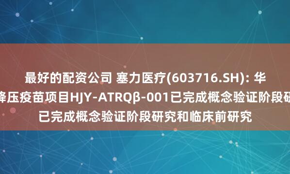 最好的配资公司 塞力医疗(603716.SH): 华纪元生物治疗性降压疫苗项目HJY-ATRQβ-001已完成概念验证阶段研究和临床前研究