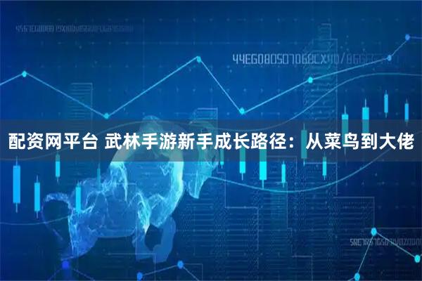 配资网平台 武林手游新手成长路径：从菜鸟到大佬