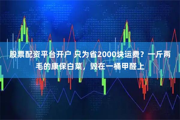 股票配资平台开户 只为省2000块运费？一斤两毛的康保白菜，毁在一桶甲醛上