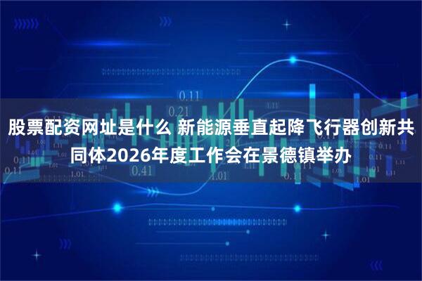 股票配资网址是什么 新能源垂直起降飞行器创新共同体2026年度工作会在景德镇举办